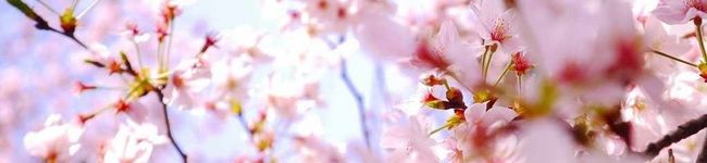 ＜まっきー＞'s header image