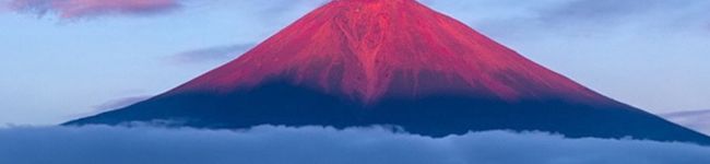 ノーシン's header image