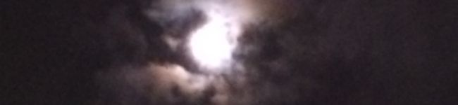 HaIRyYu's header image