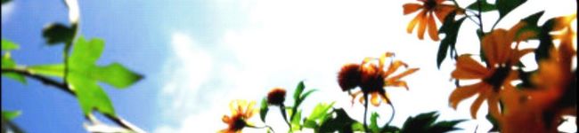 Ｍ’Ｓキッチン's header image
