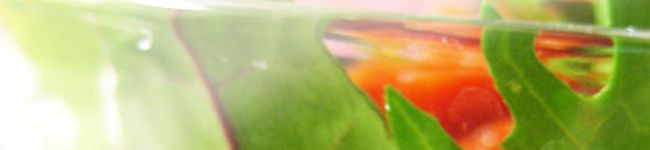 ☆にあ☆'s header image