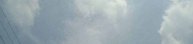 心葉ママ's header image