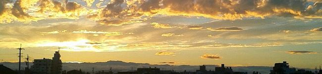レモン☀'s header image