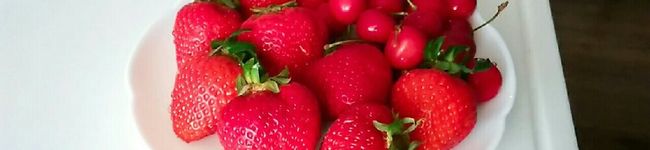 山田さん2号's header image