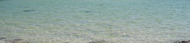Mepignol's header image