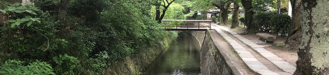 iku_u's header image