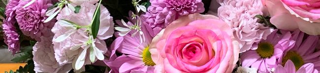 旭山ペンギン's header image