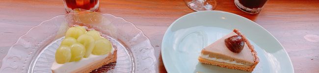 annzu__'s header image