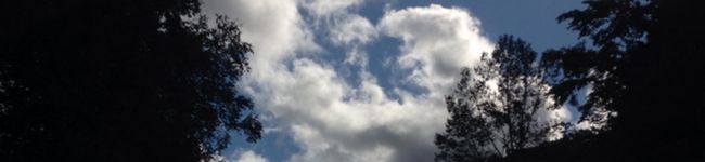 さち0322's header image
