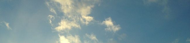 kapi0346's header image