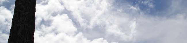 空虹架's header image