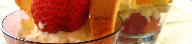 sunchild's header image