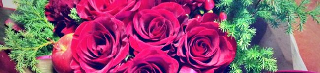 Aoo0's header image