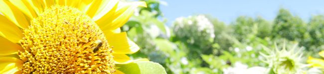 クック0P88E7☆'s header image