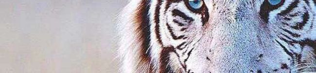 mkmk2424's header image