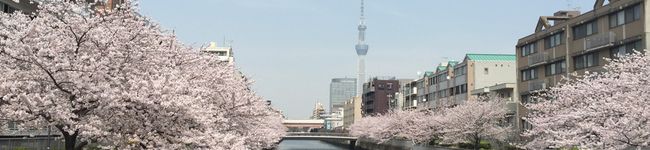 myocha's header image