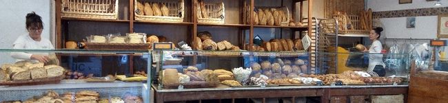 cincilla's header image