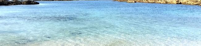 nooorico's header image