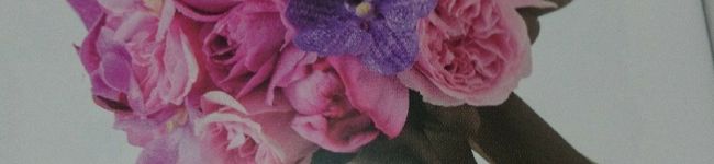 hrhtshk☆'s header image