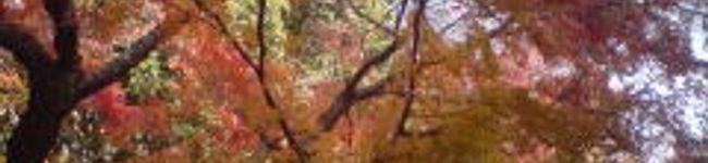 miminberry's header image