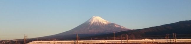 かまめ♪'s header image