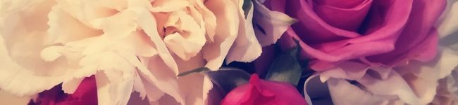 0asa's header image