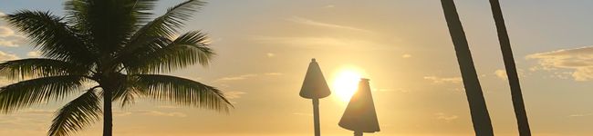 zawamacky's header image