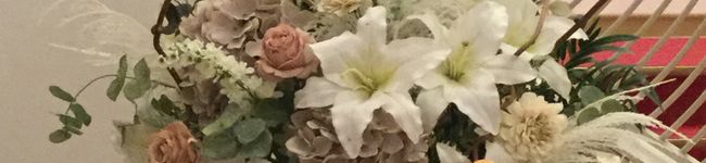 tikariri's header image