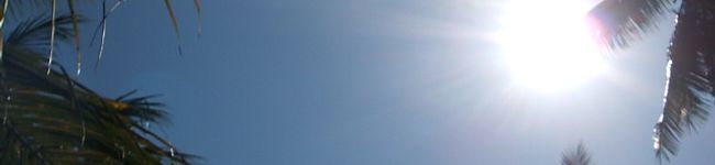 YURI蔵's header image