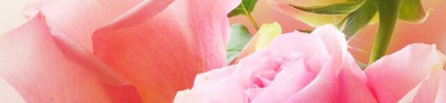 κσиαи's header image