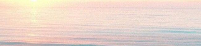 たっぴᗦ↞◃'s header image