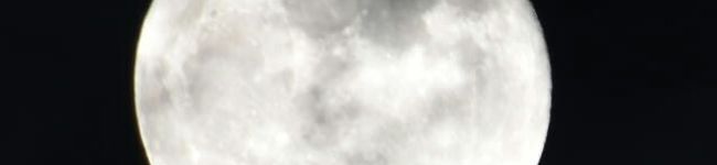 yurizaemon's header image