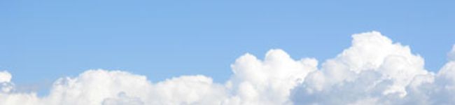 sa_yuki's header image