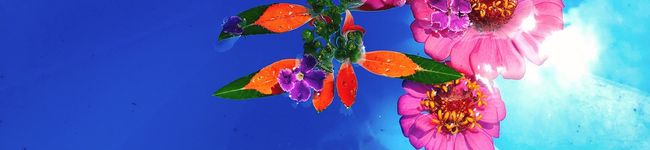 お料理レポ♡'s header image
