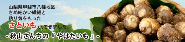 cook★やはたいも's header image