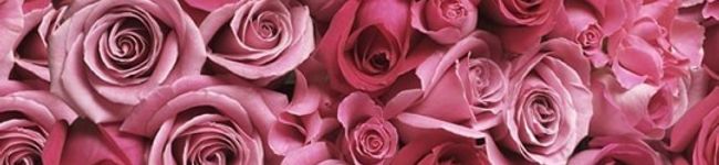 igavesti's header image