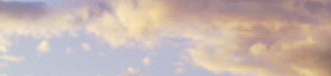 ミニたいやき's header image