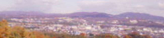 Yさまさま's header image