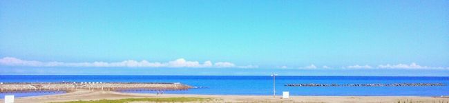 Cookie’s's header image