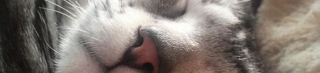mitty0612's header image