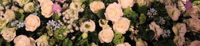 rose__m's header image