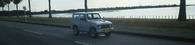 １人暮らしの料理研究's header image