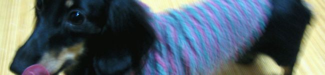 naonao70's header image