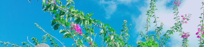 まちゃむぅ's header image