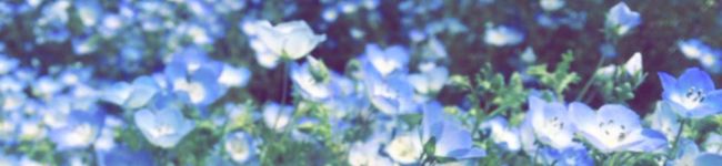 nagapron's header image