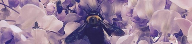 にっきーしっくす's header image
