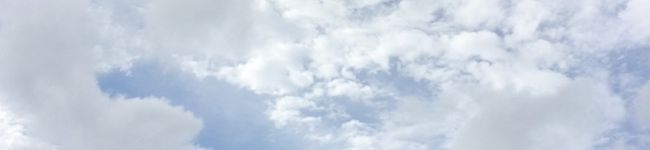 都風流娘's header image