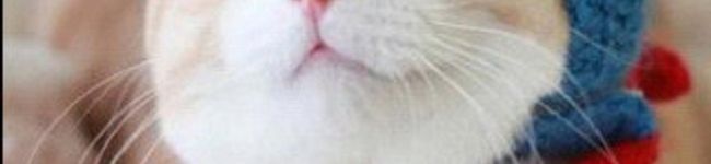 いつき♪♪'s header image