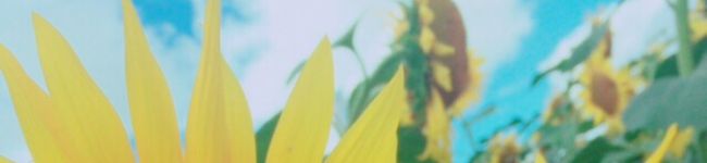 まなほma's header image