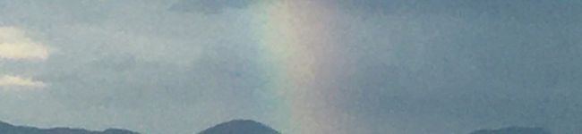 たつえばあば's header image